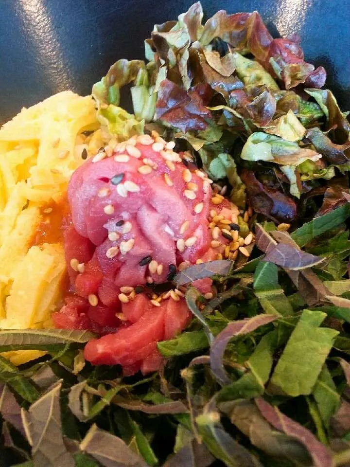 KakaoTalk_20190213_181746061.jpg