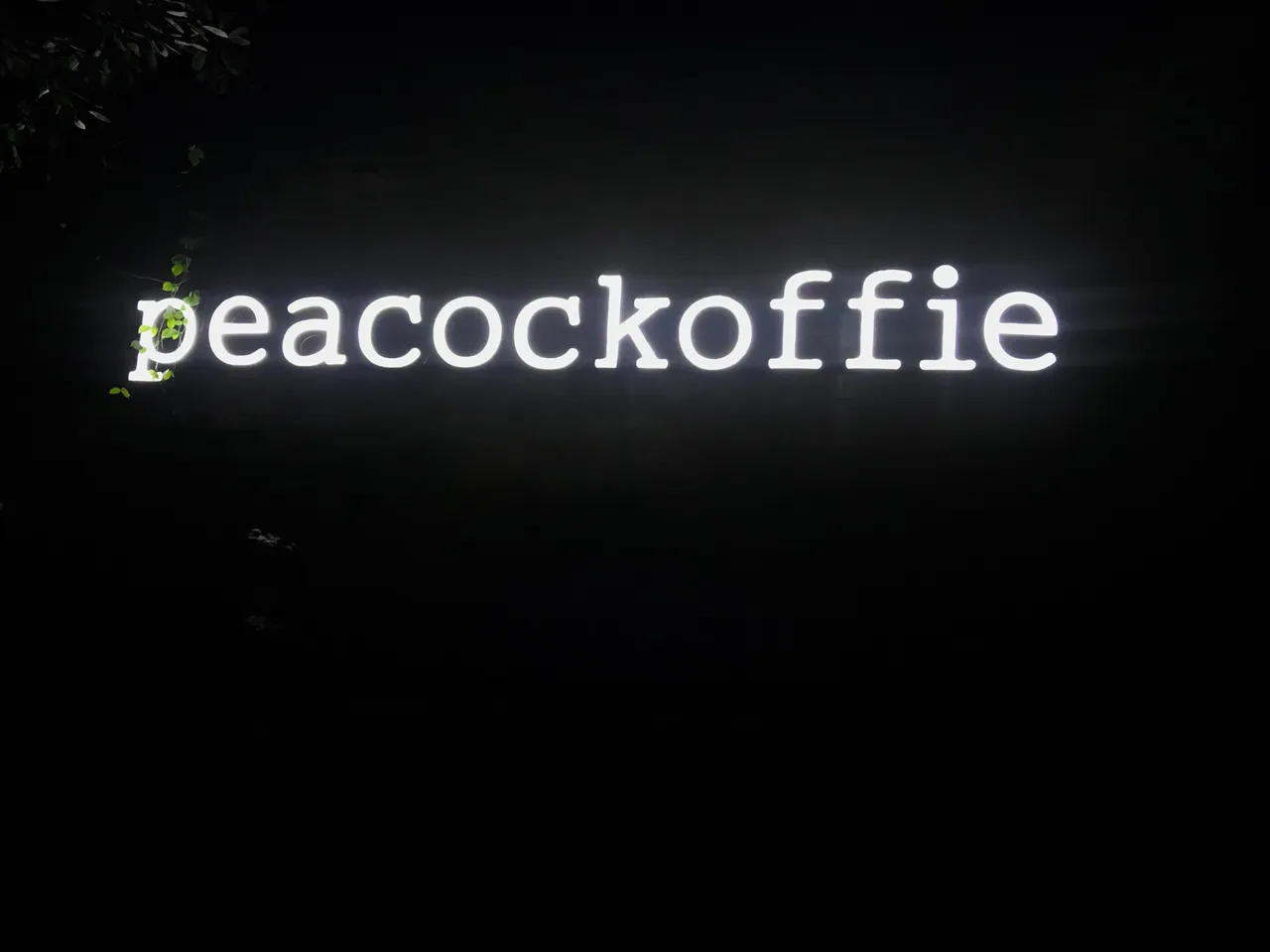 E2CF1007-0DF1-4237-9D07-69C9DDF2AAC5.jpeg