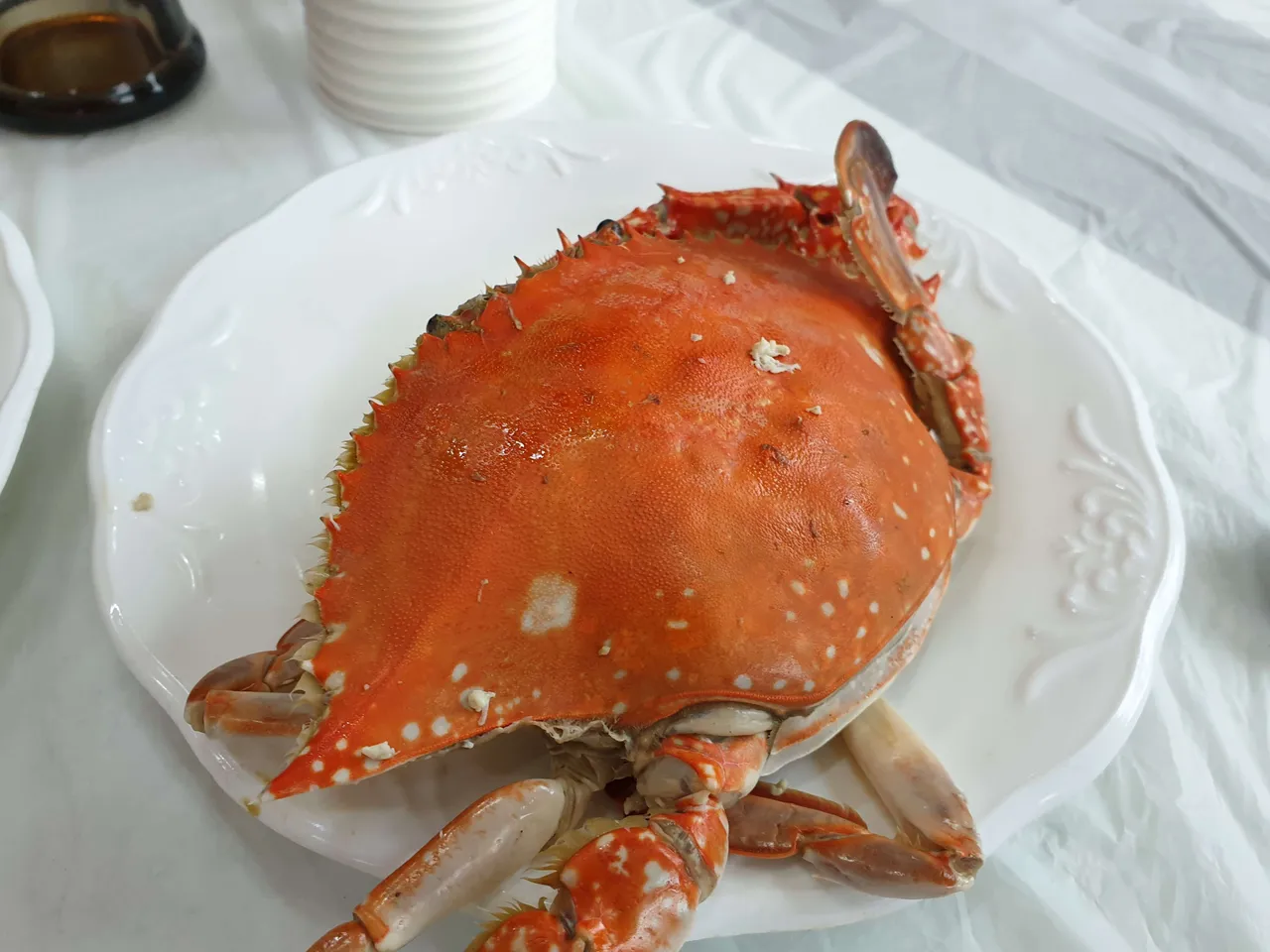 20190330_110912.jpg