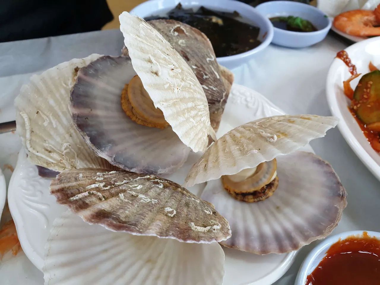 20190330_111715.jpg