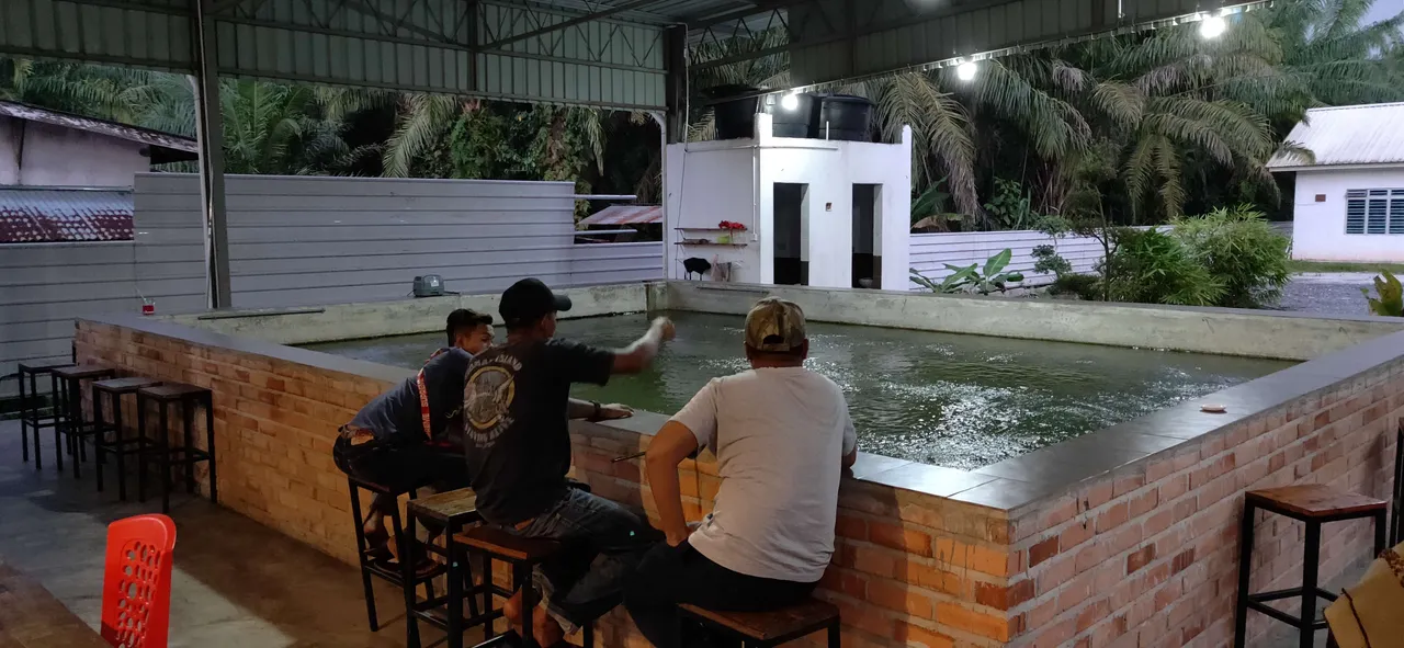 IMG20190223191912.jpg