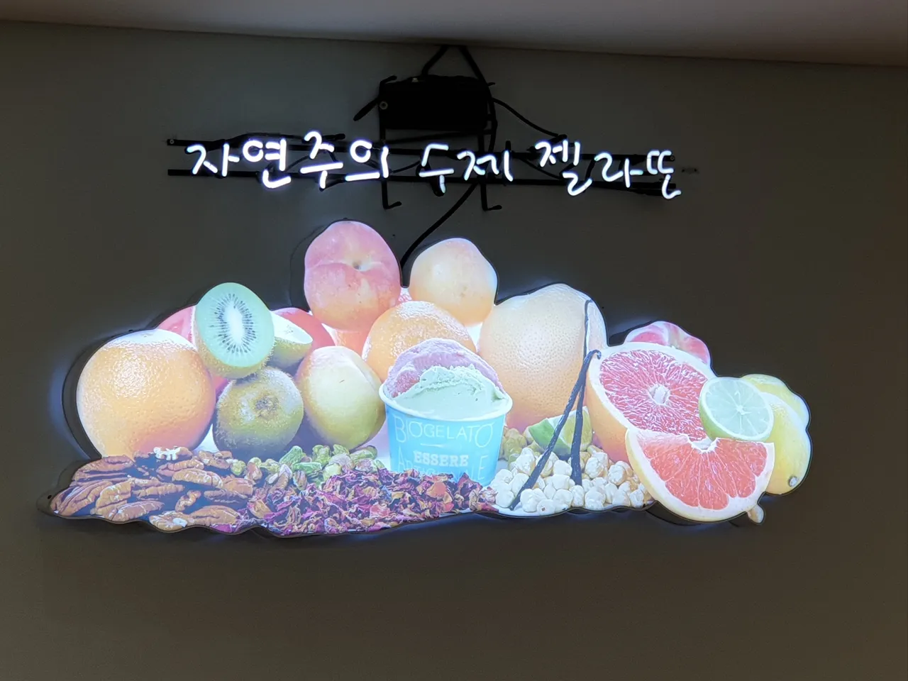 젤_2.jpg