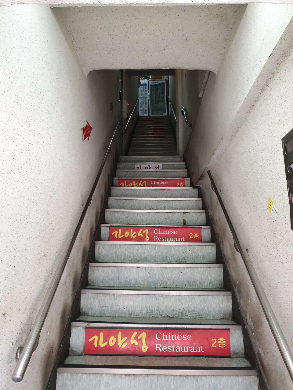 20190326_122426.jpg