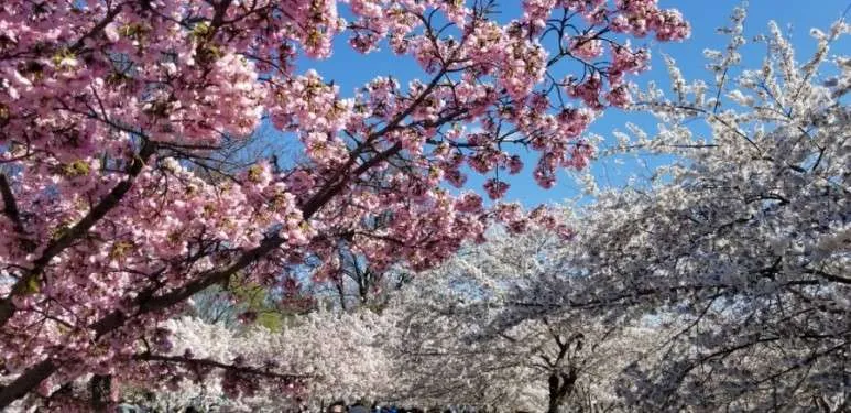 20190331_160914.jpg