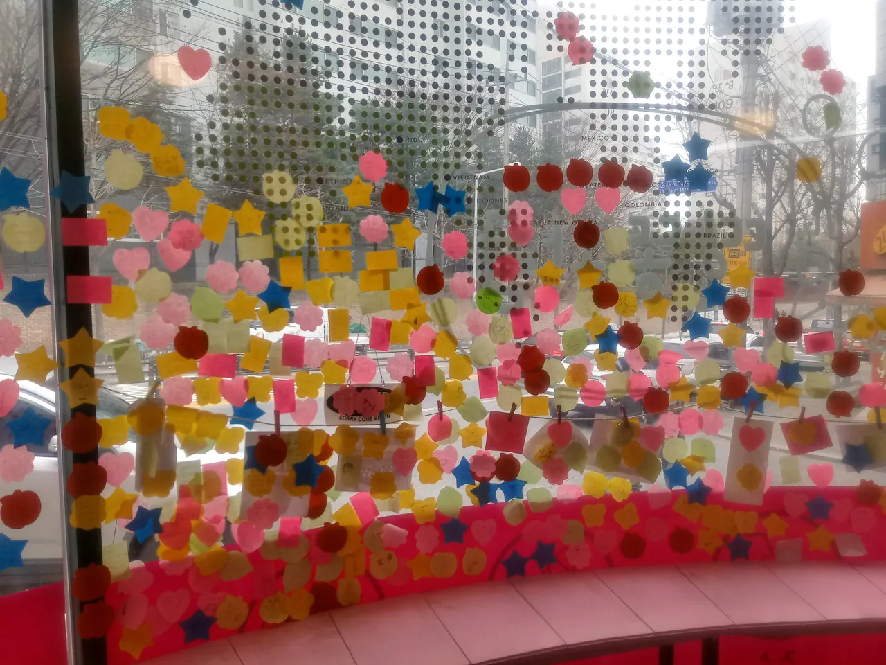 20190406_121616_HDR.jpg