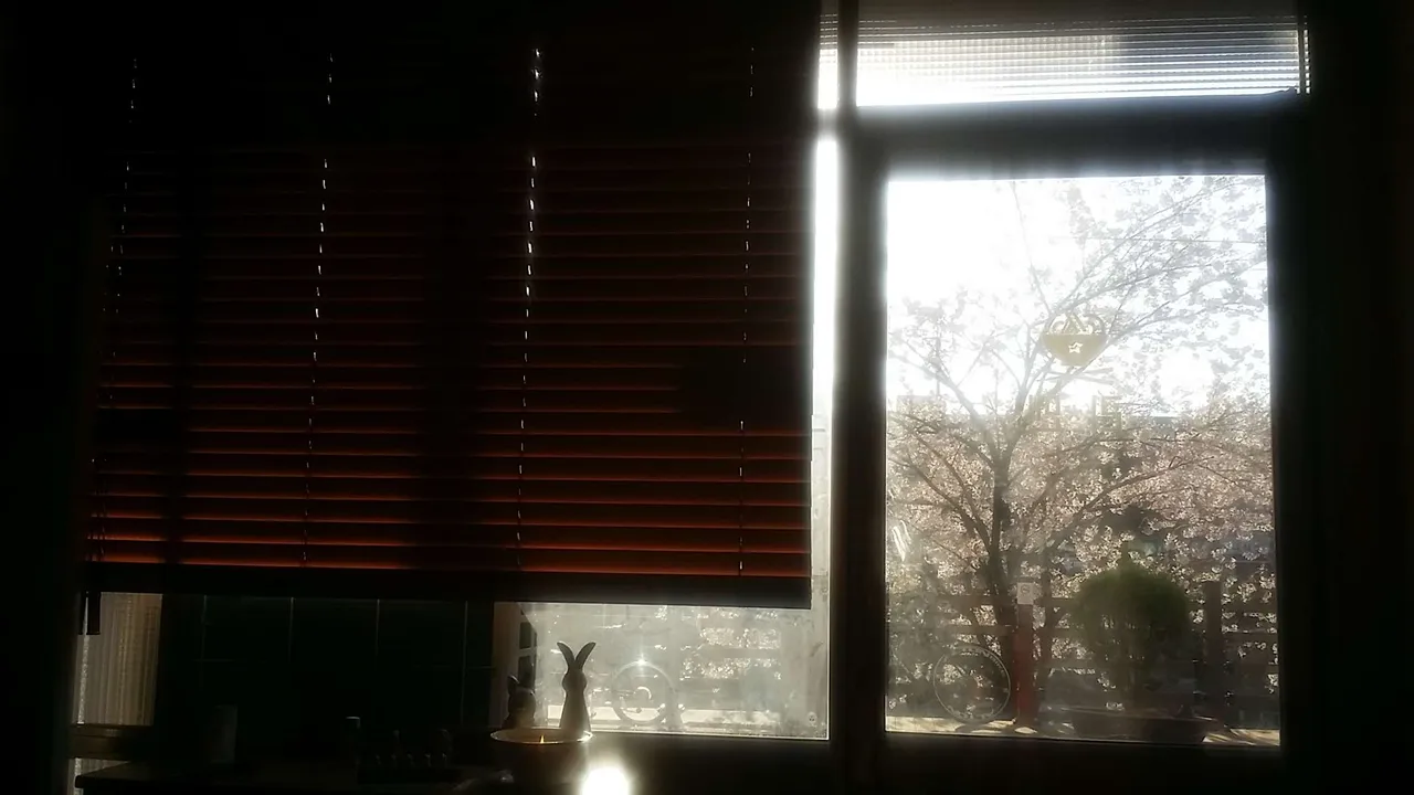 20190414_175023.jpg
