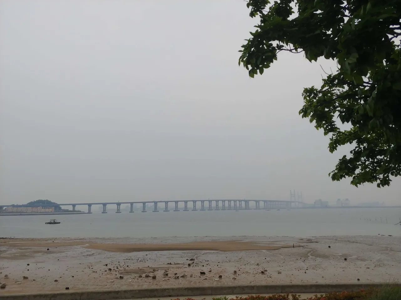 20190517_184246.jpg