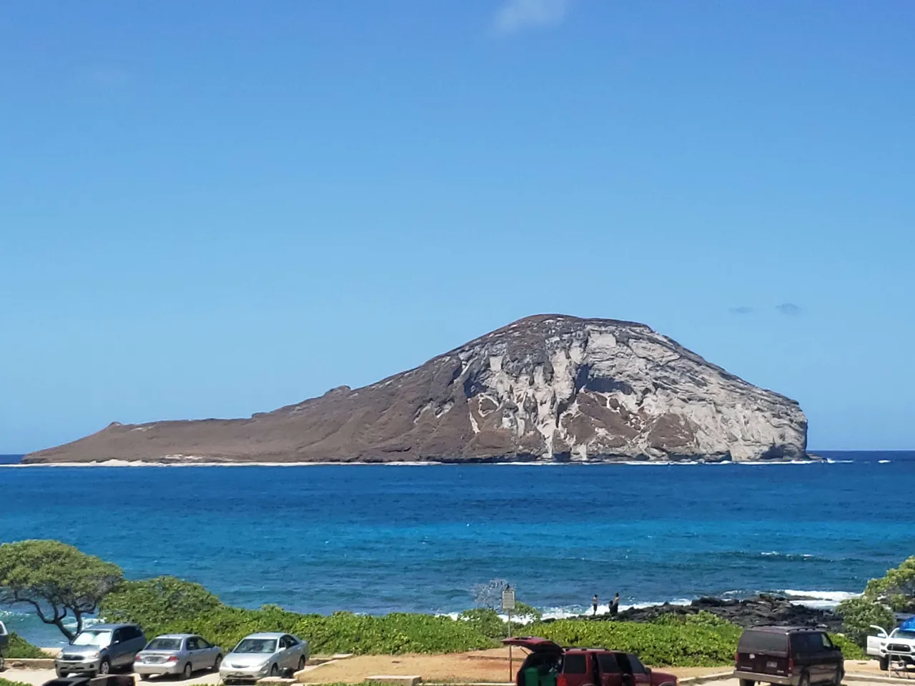 20190611_130140.jpg