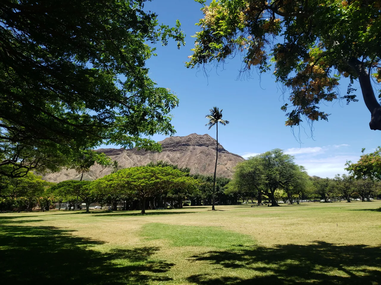 20190606_131121.jpg