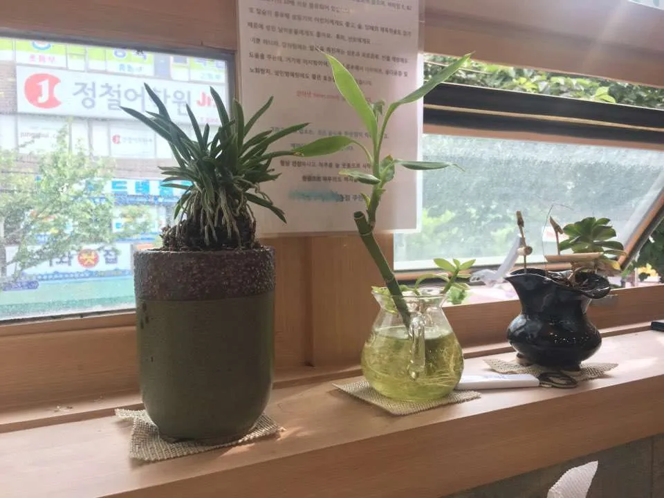 KakaoTalk_20190612_212610705.jpg