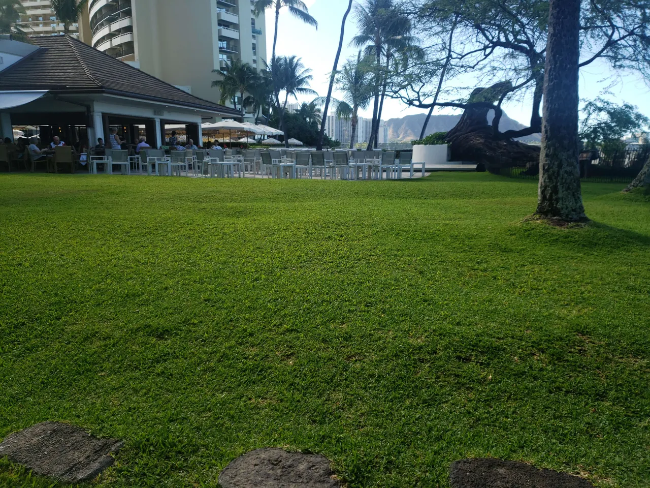 20190612_082808.jpg