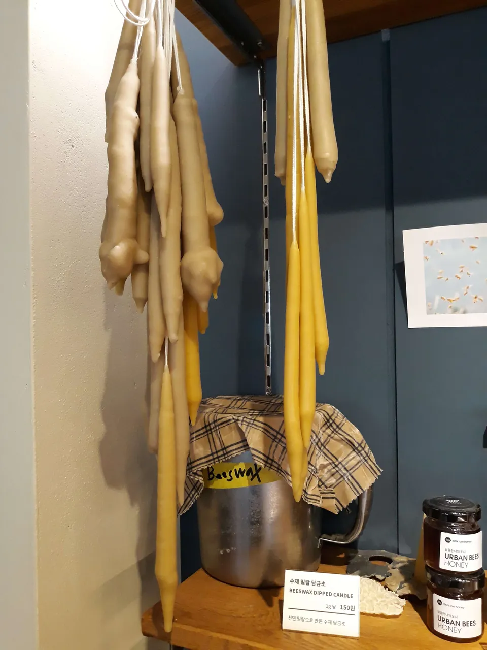 2019-03-11 14.32.15.jpg