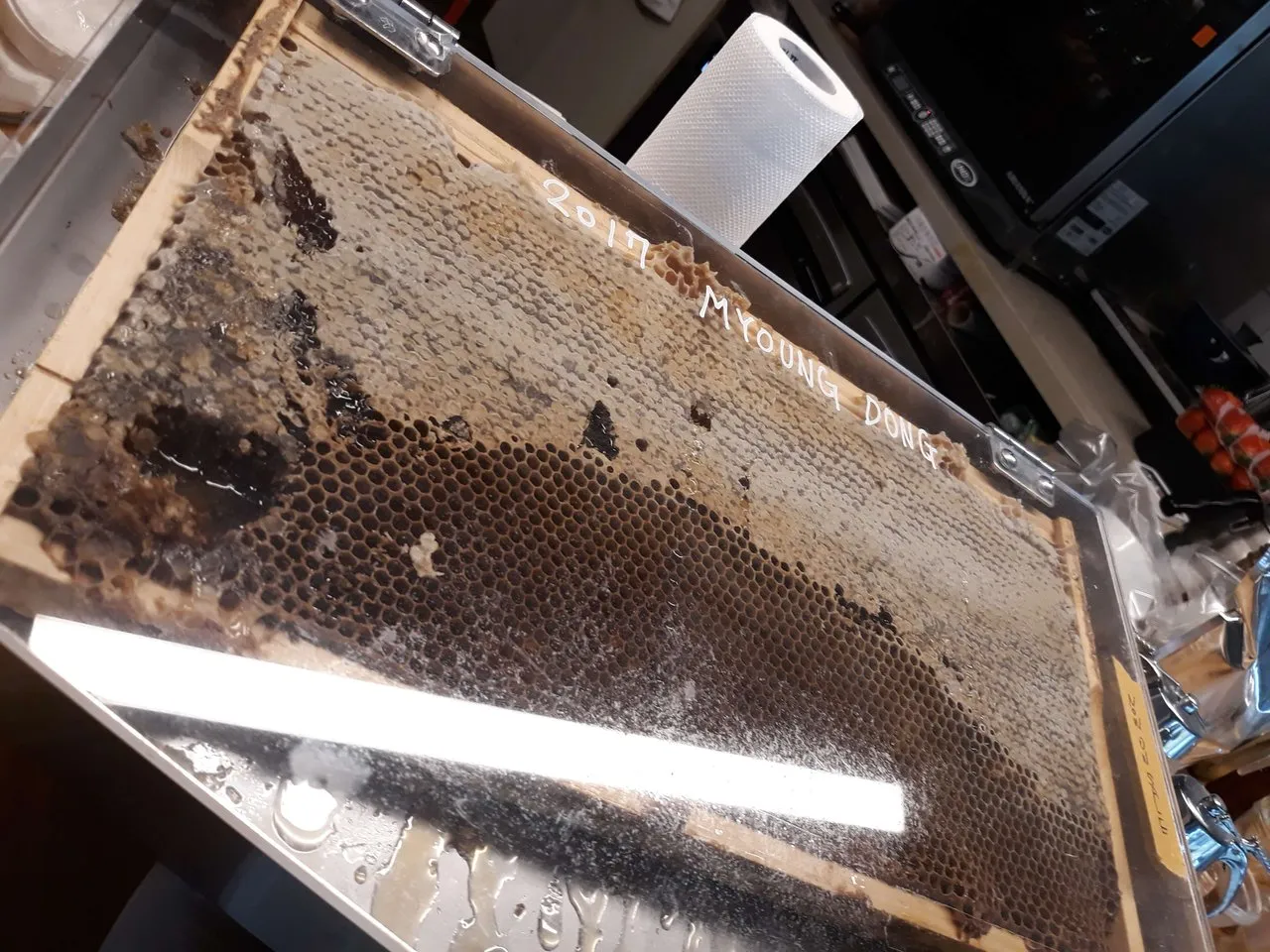 2019-03-11 14.29.42.jpg