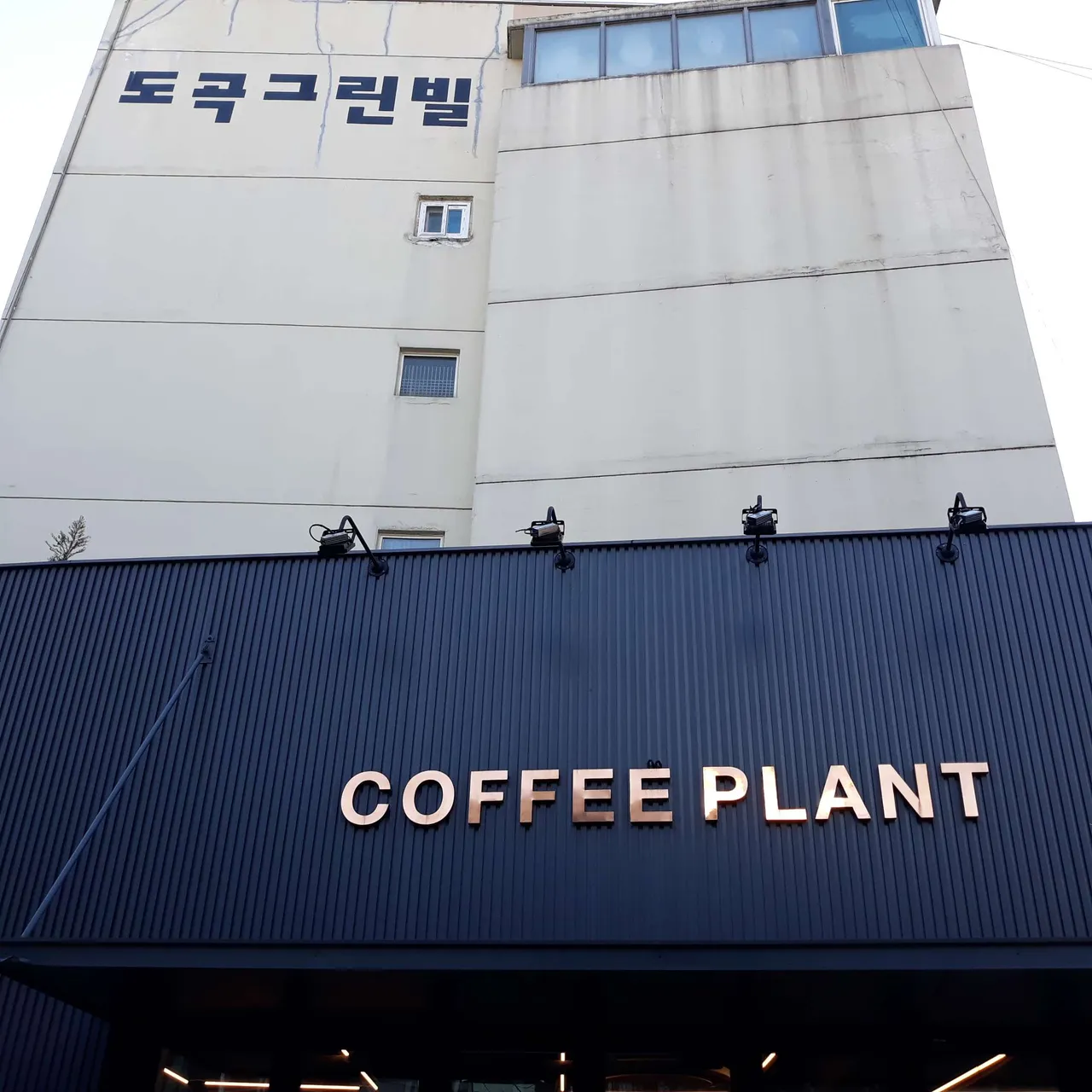 2018-12-30 10.44.05.jpg