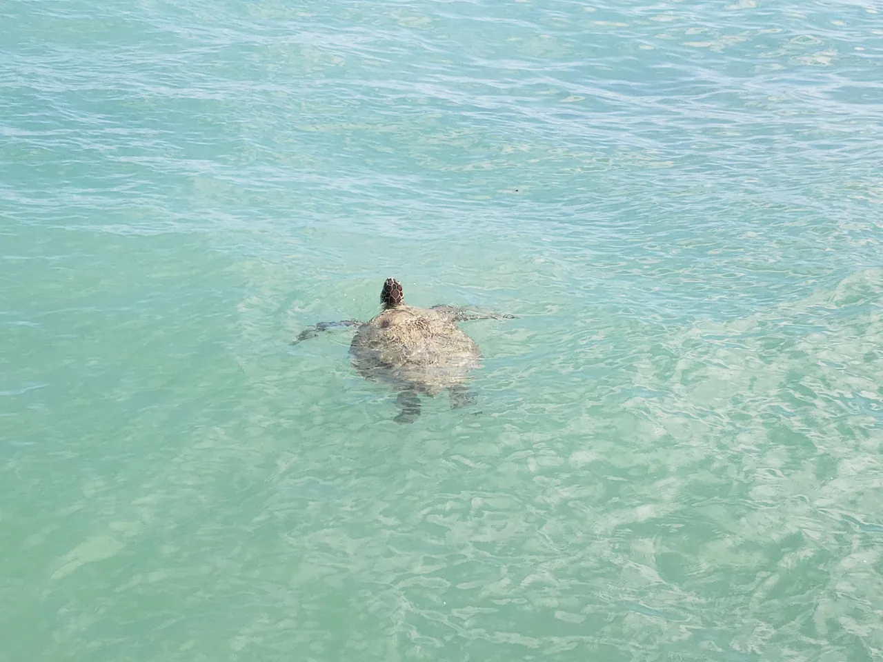20190617_154453.jpg