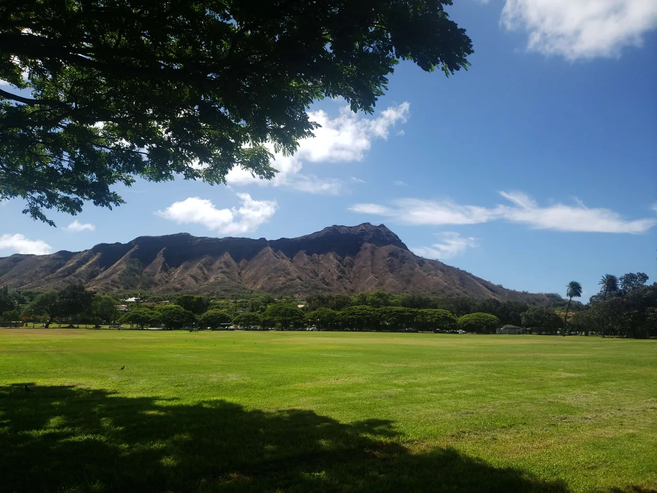 20190620_095818.jpg