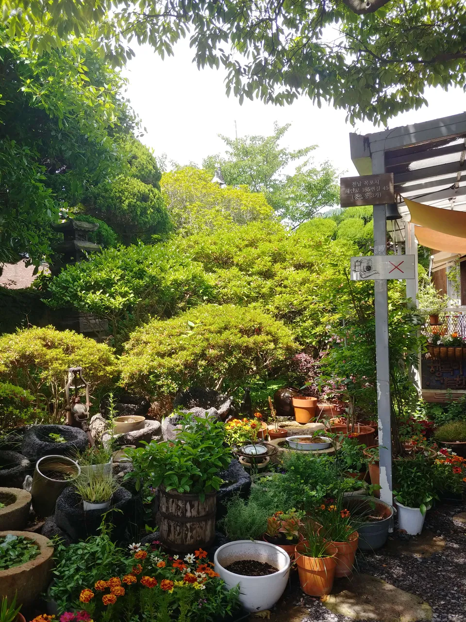 20190616_105511_HDR.jpg