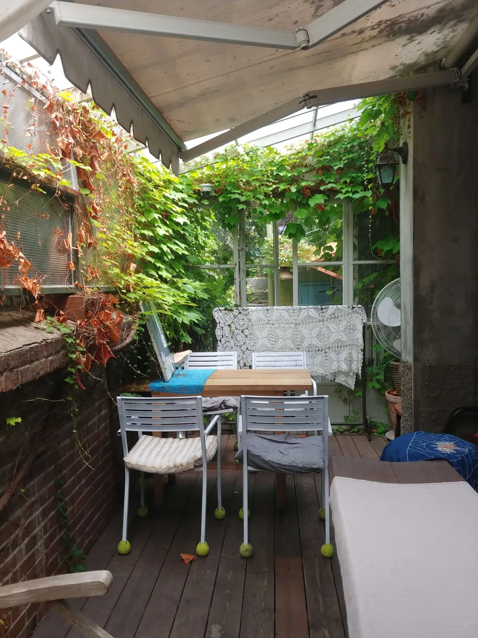 20190616_105557.jpg