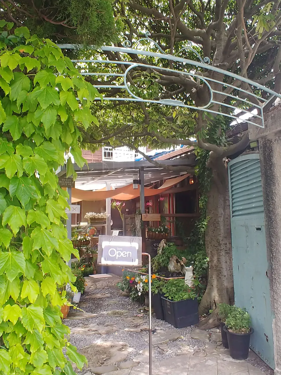 20190616_113025.jpg