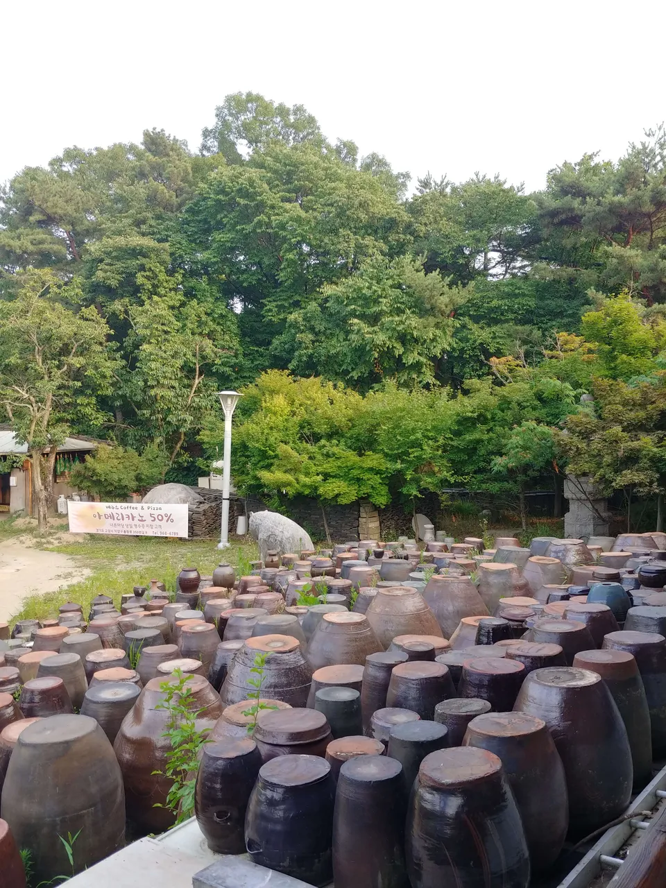 20190714_182355_HDR.jpg