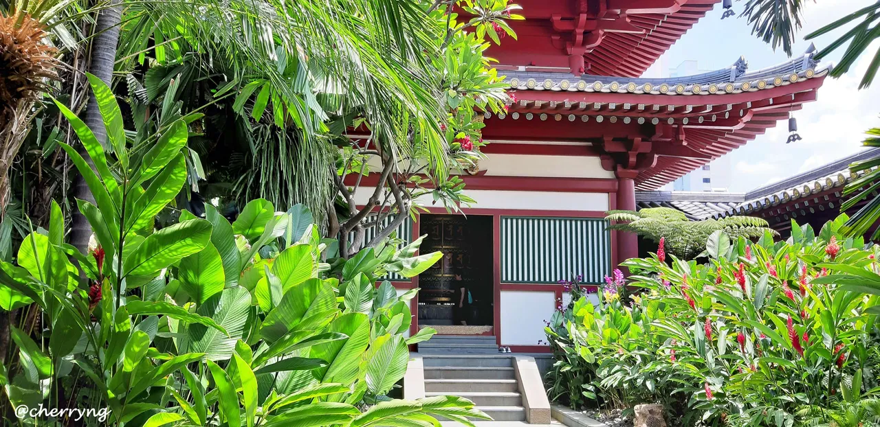 20190823_123011 copy.jpg