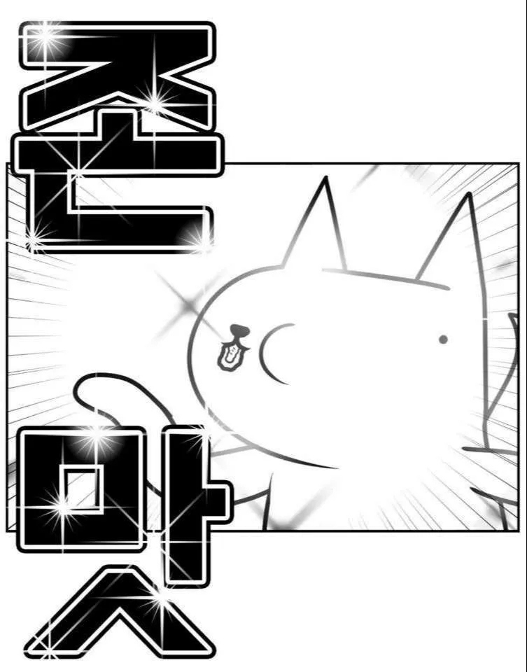 10.jpeg