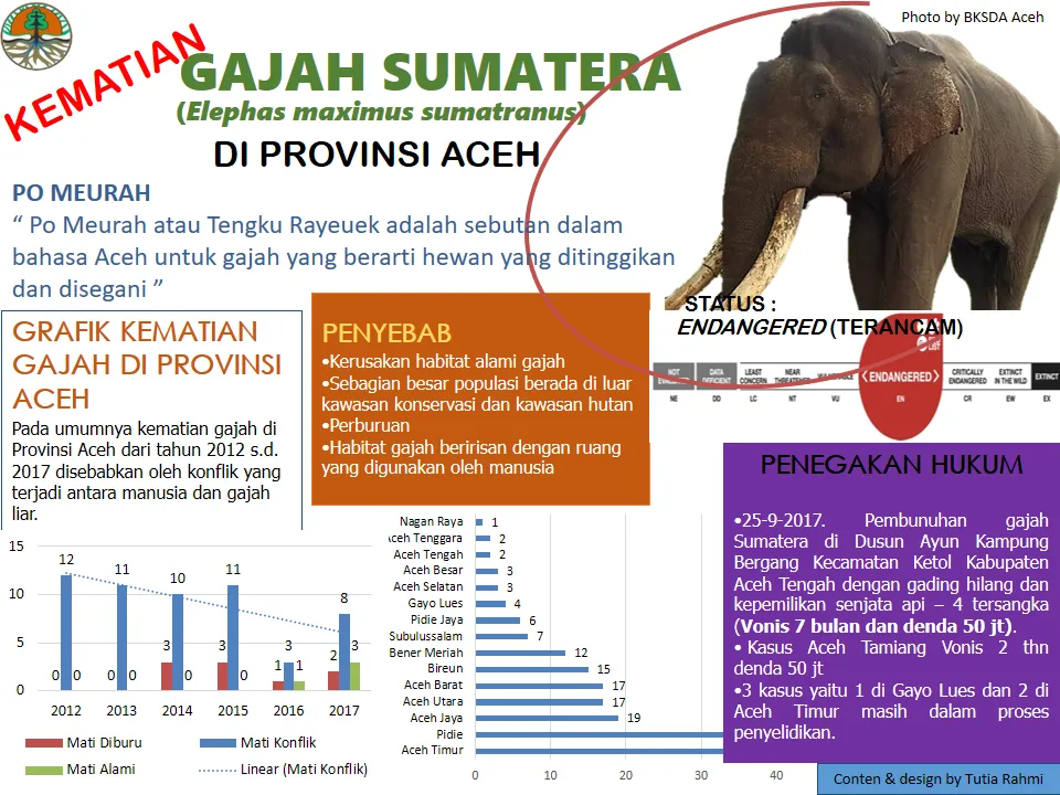 Kematian gajah.png