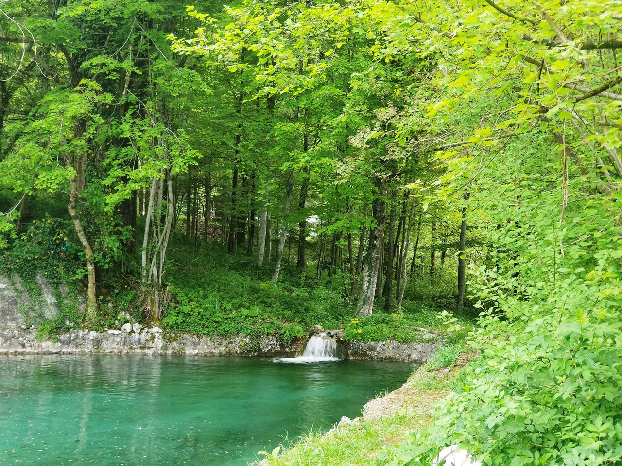 20180426_0907051.jpg