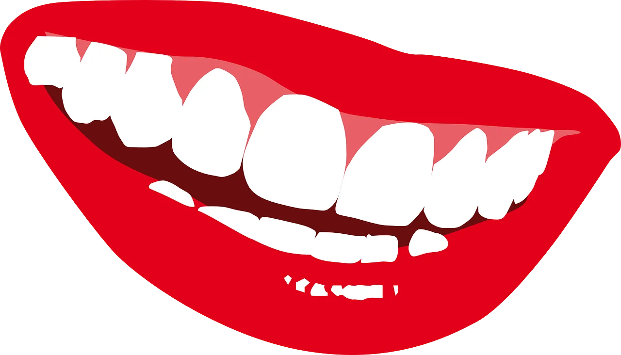 lips-156991_1280.png
