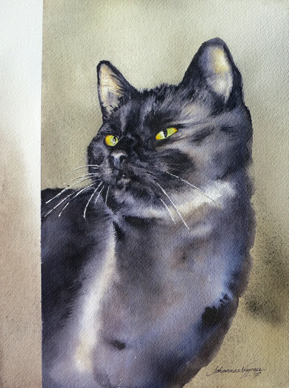 katt - Signe.jpg