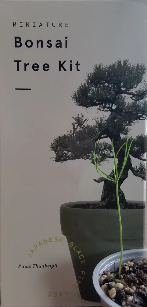 bonsai-kit-small.png