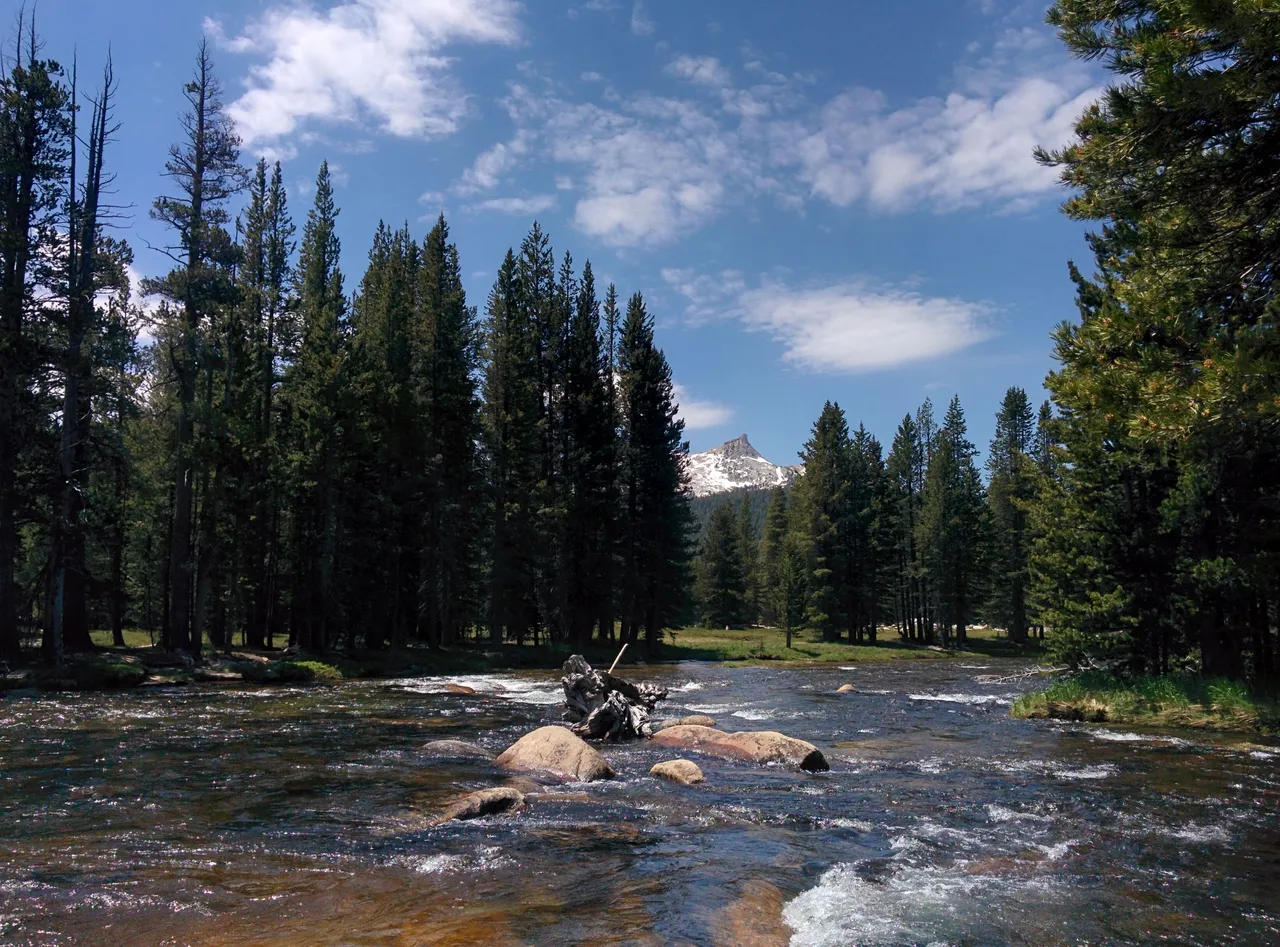 Yosemite Park2.jpg