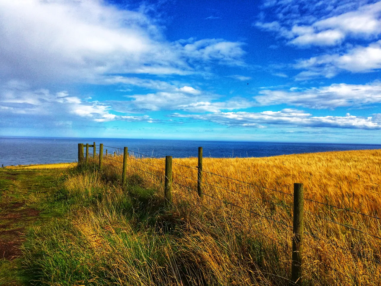 Dunnottar (2).jpeg