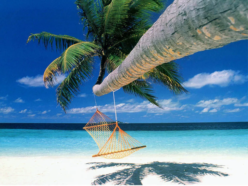 relaxing-hammock.jpg