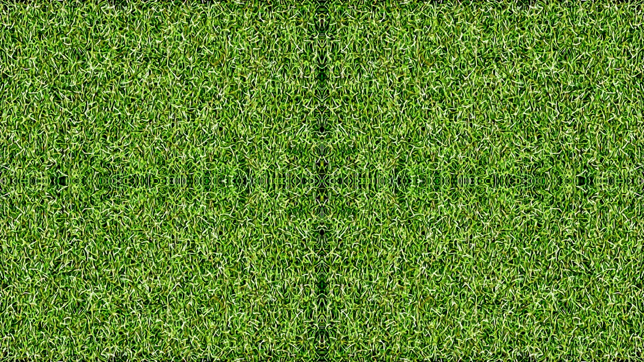 grass mandala2.png