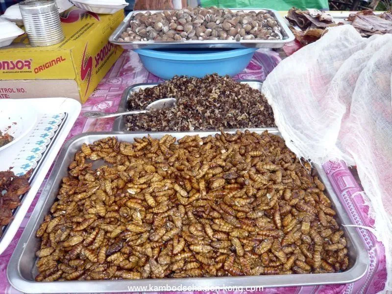 edible-insects-1.jpg