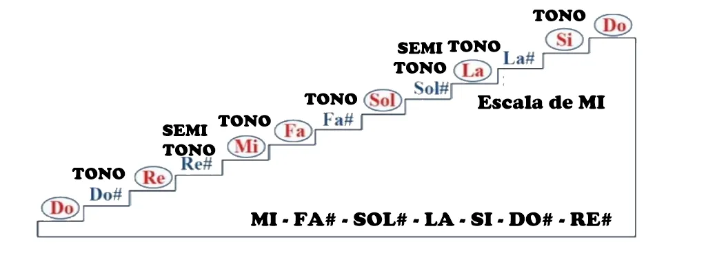 ESCALA DE MI.jpg