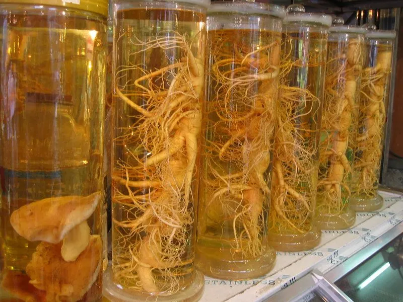 Ginseng_in_Korea.jpg