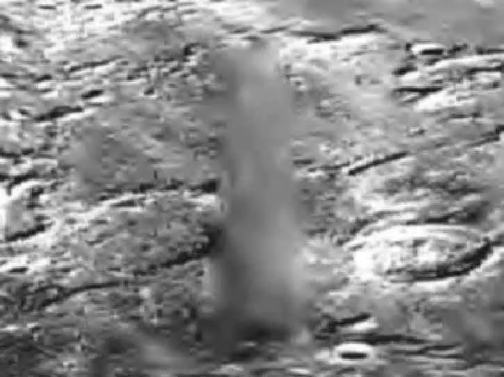 moon airbrush3.jpg