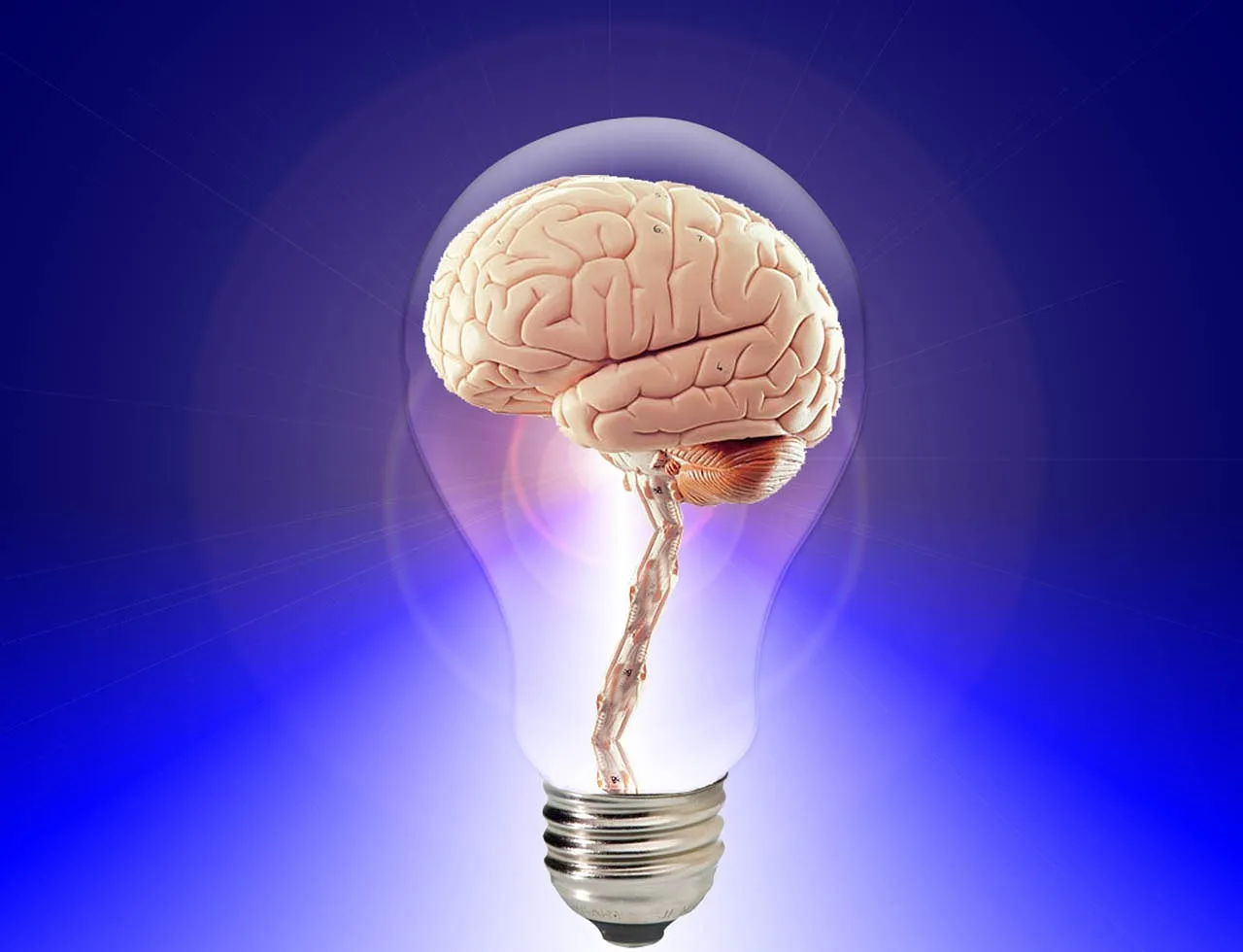 brain-20424_1280.jpg