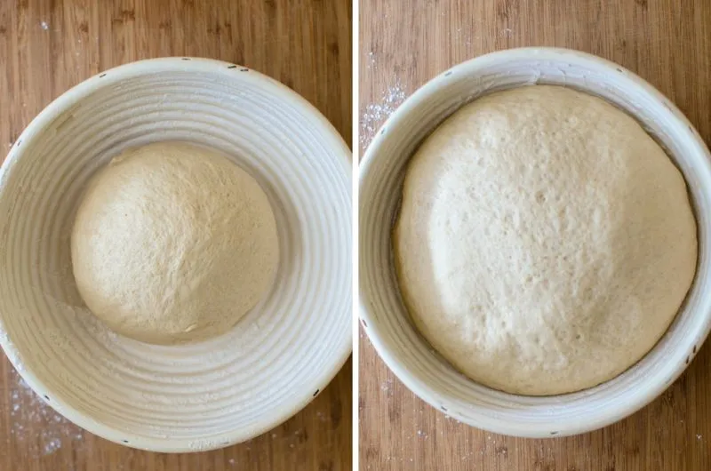 sourdough-rising.jpg