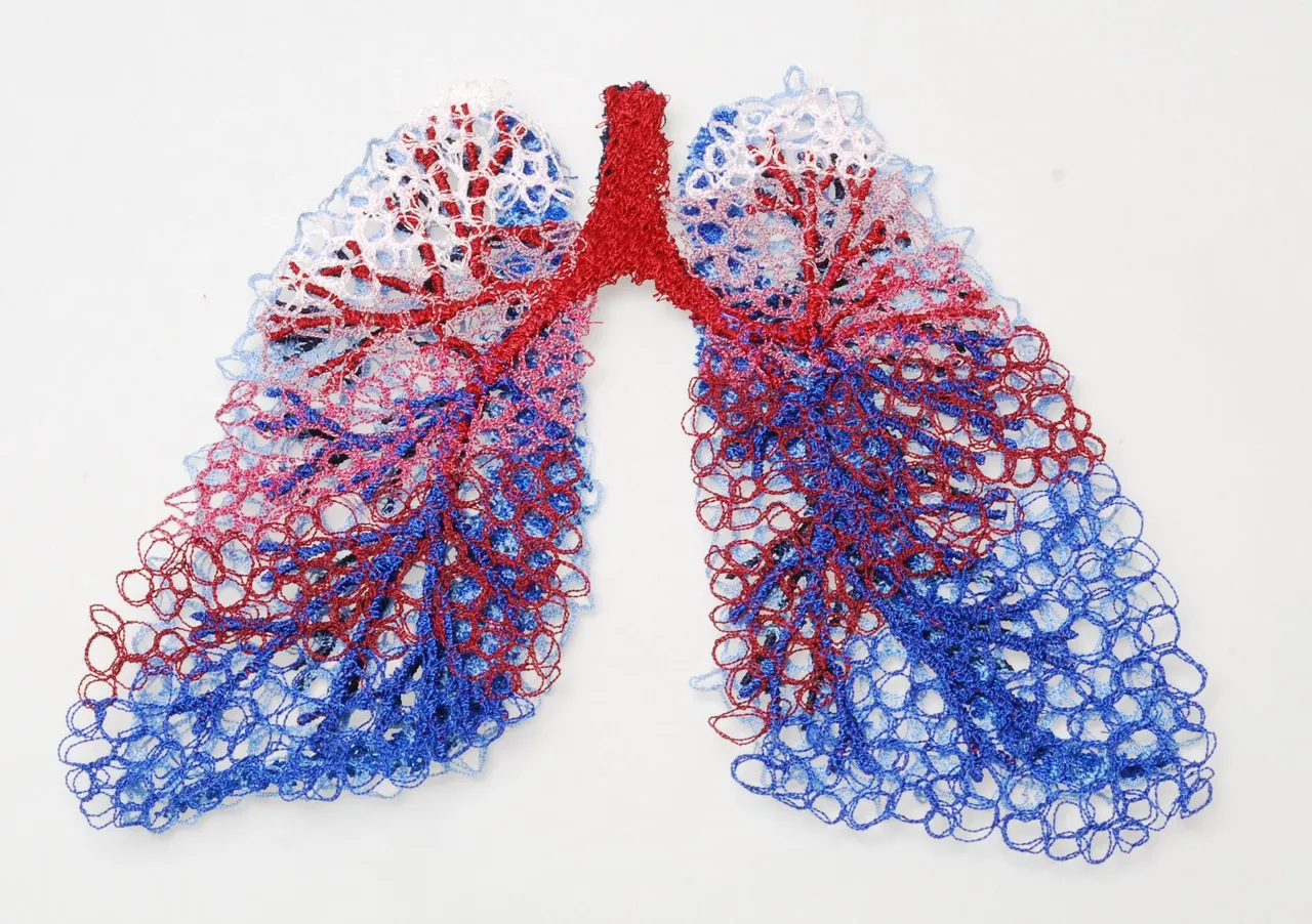 asbestos-lungs-1.jpg