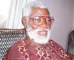 Akinwunmi-Ishola.jpg