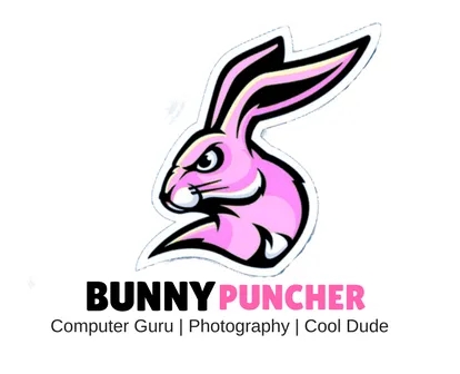 pink-sleek-bunny.png