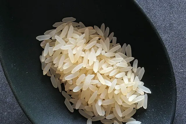 rice-2294365_640.jpg