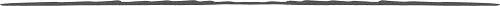 separador@1.5x.png