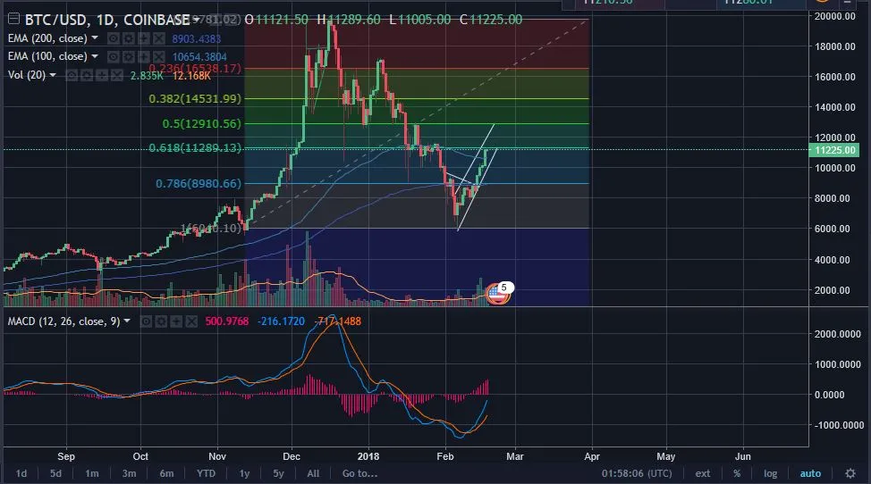 BTC 11k 2-17.JPG