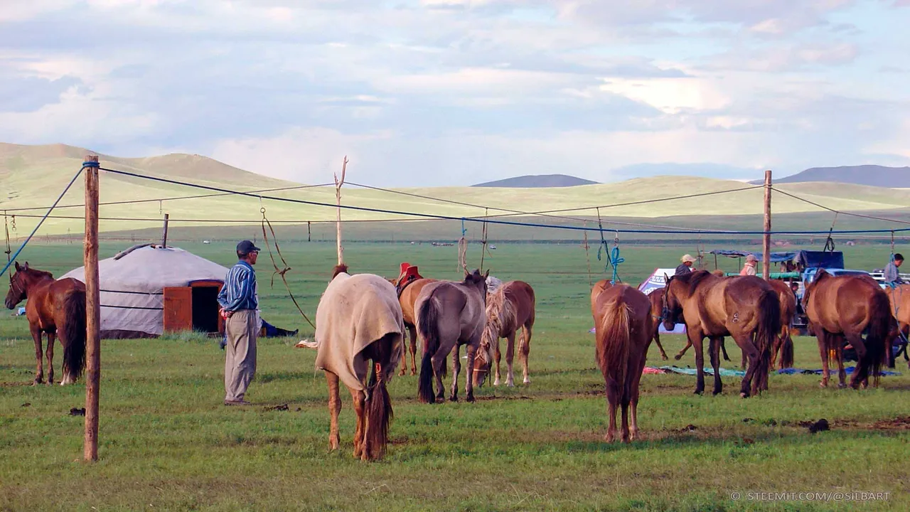 mongoliamatrix74.jpg