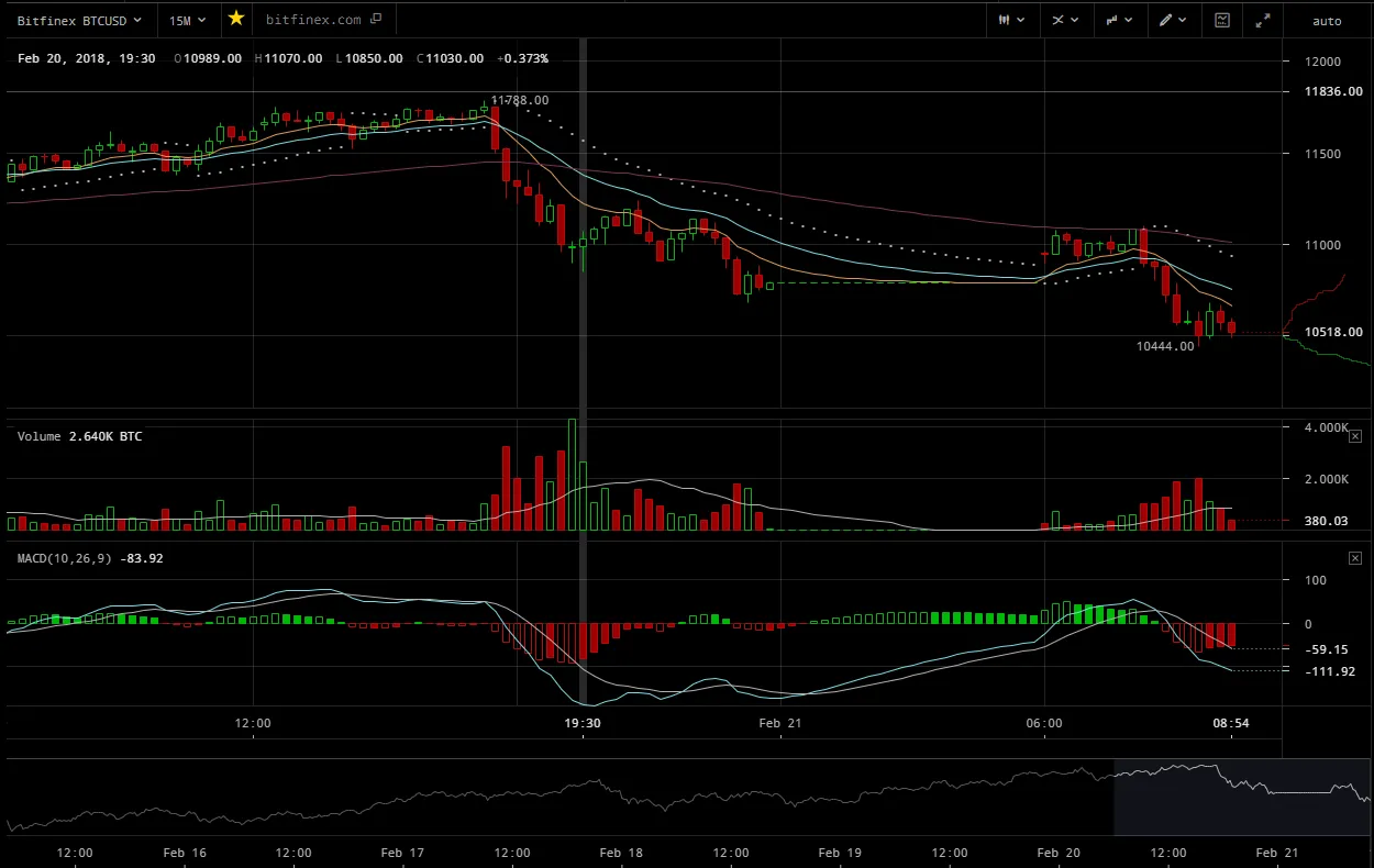 SBD Bottom 2.png