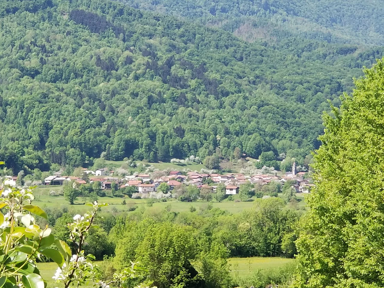 20180428_1134391.jpg